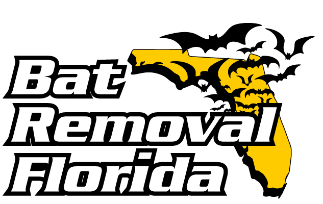 Bat Removal Florida