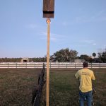Bat Inspections in Jacksonville, Florida