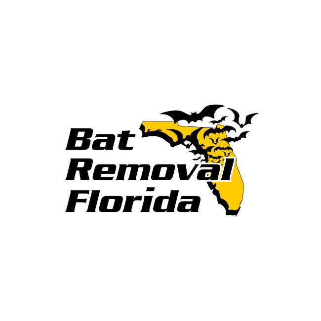 Bat Removal Florida