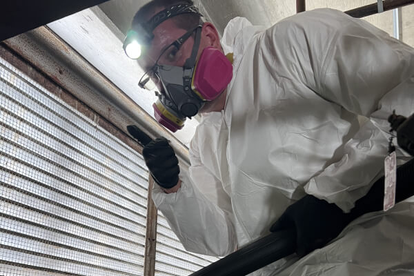 Bat Clean Up